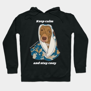 Keep calm and stay cozy Hoodie